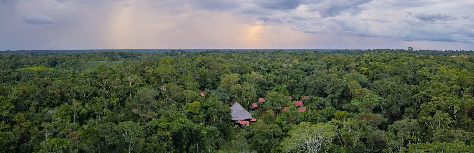 Kvinnors ayahuascahealingretreat