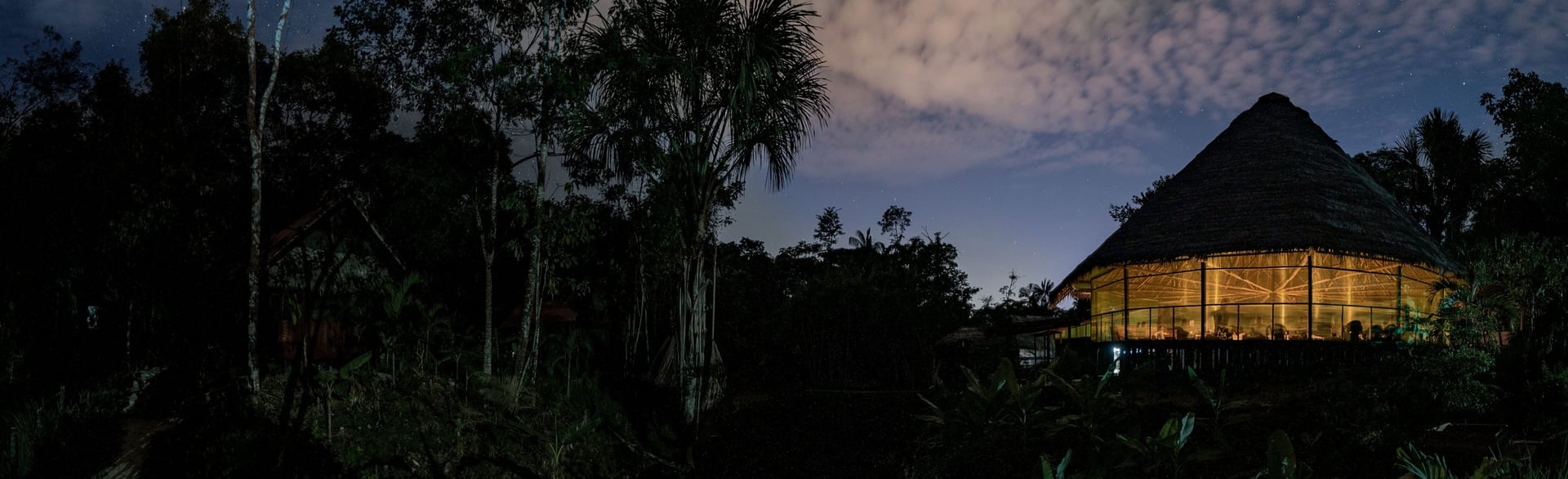 Kvinnors ayahuascahealingretreat