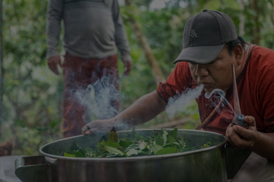 Kvinnors ayahuascahealingretreat