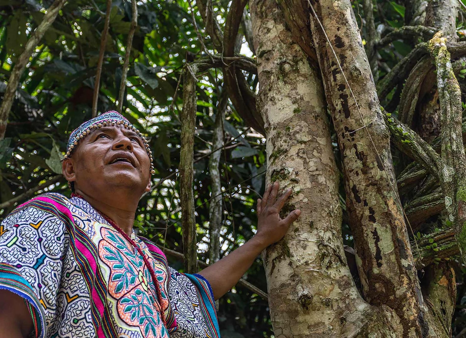 Kvinnors ayahuascahealingretreat