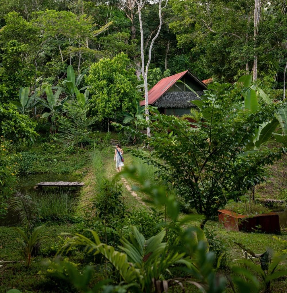 Kvinnors ayahuascahealingretreat