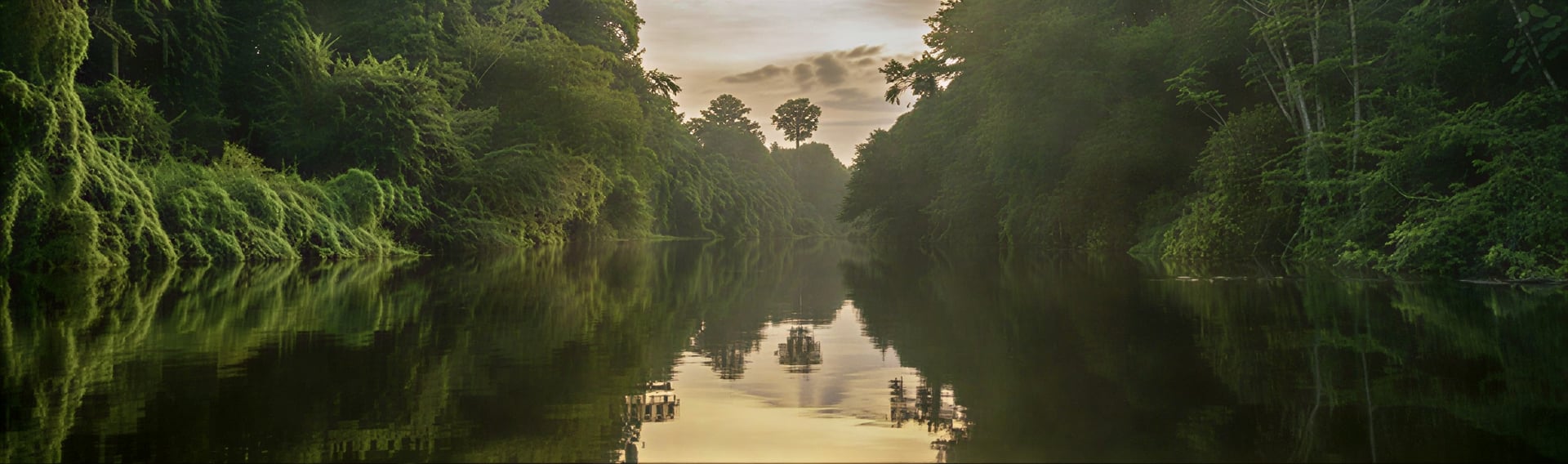 Kvinnors ayahuascahealingretreat