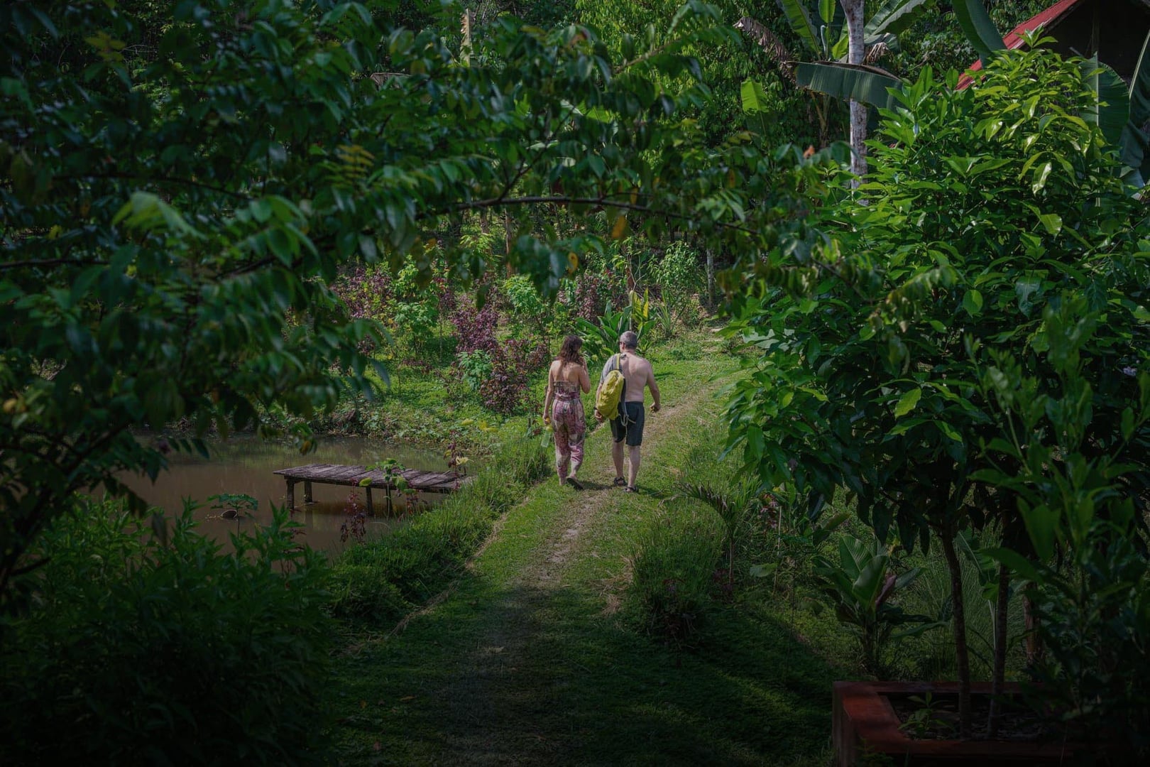 Kvinnors ayahuascahealingretreat