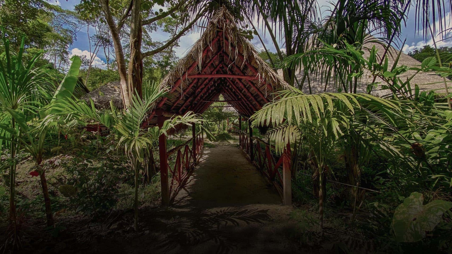 Kvinnors ayahuascahealingretreat