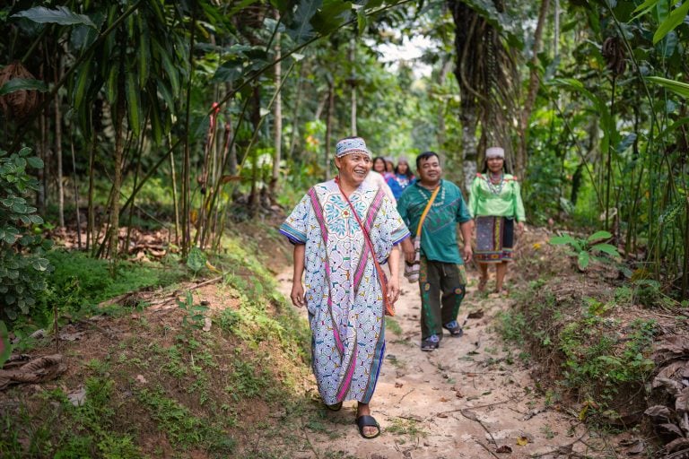 Kvinnors ayahuascahealingretreat