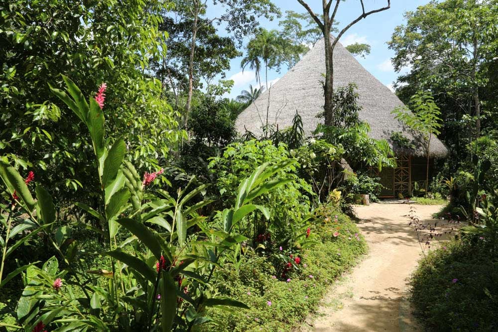 Kvinnors ayahuascahealingretreat