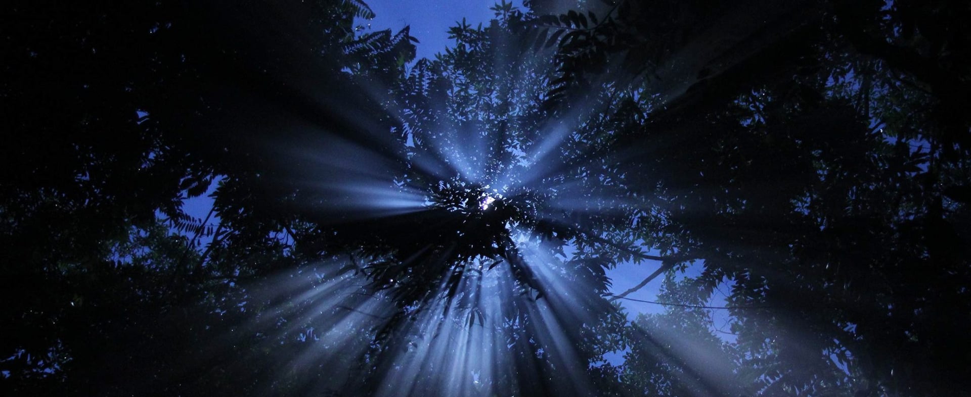 Retreat för vårdpersonal med ayahuasca 2026