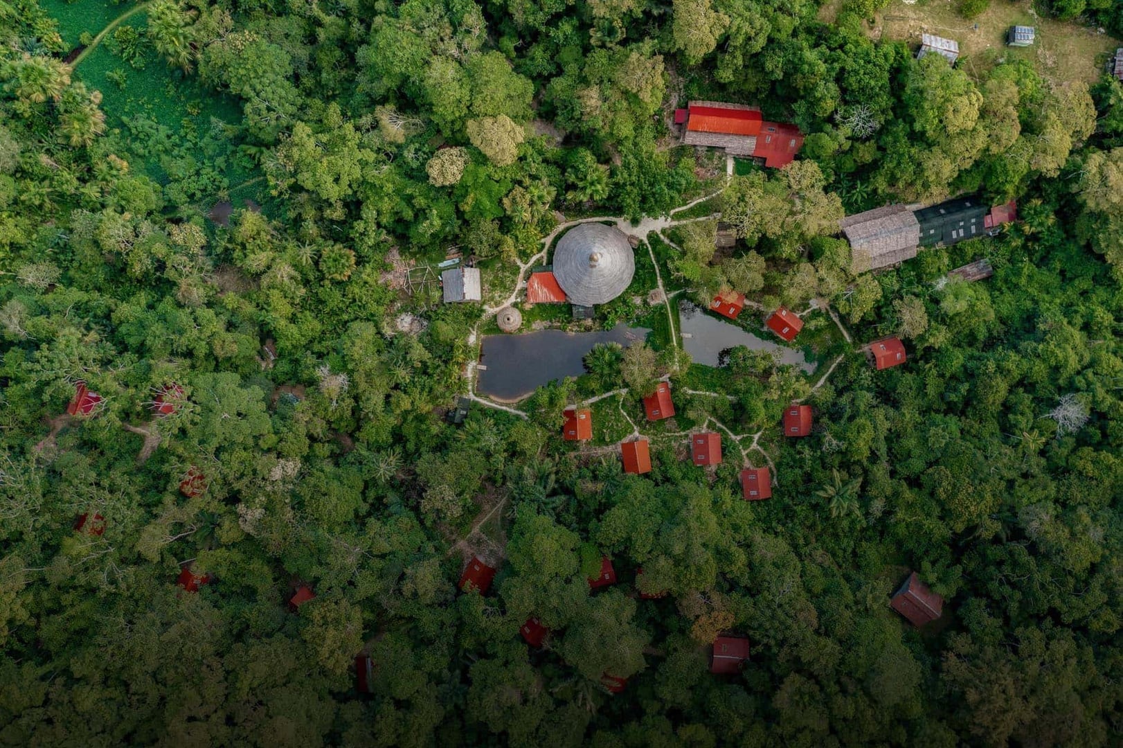 Retreat för vårdpersonal med ayahuasca 2026