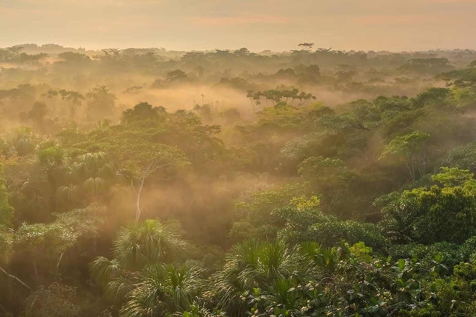 Retreat för vårdpersonal med ayahuasca 2026