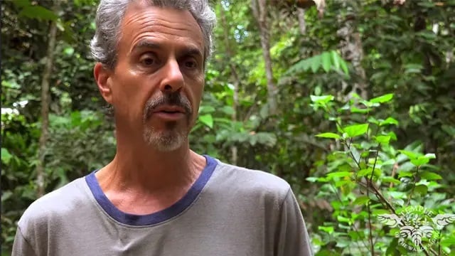 Retreat för vårdpersonal med ayahuasca 2026