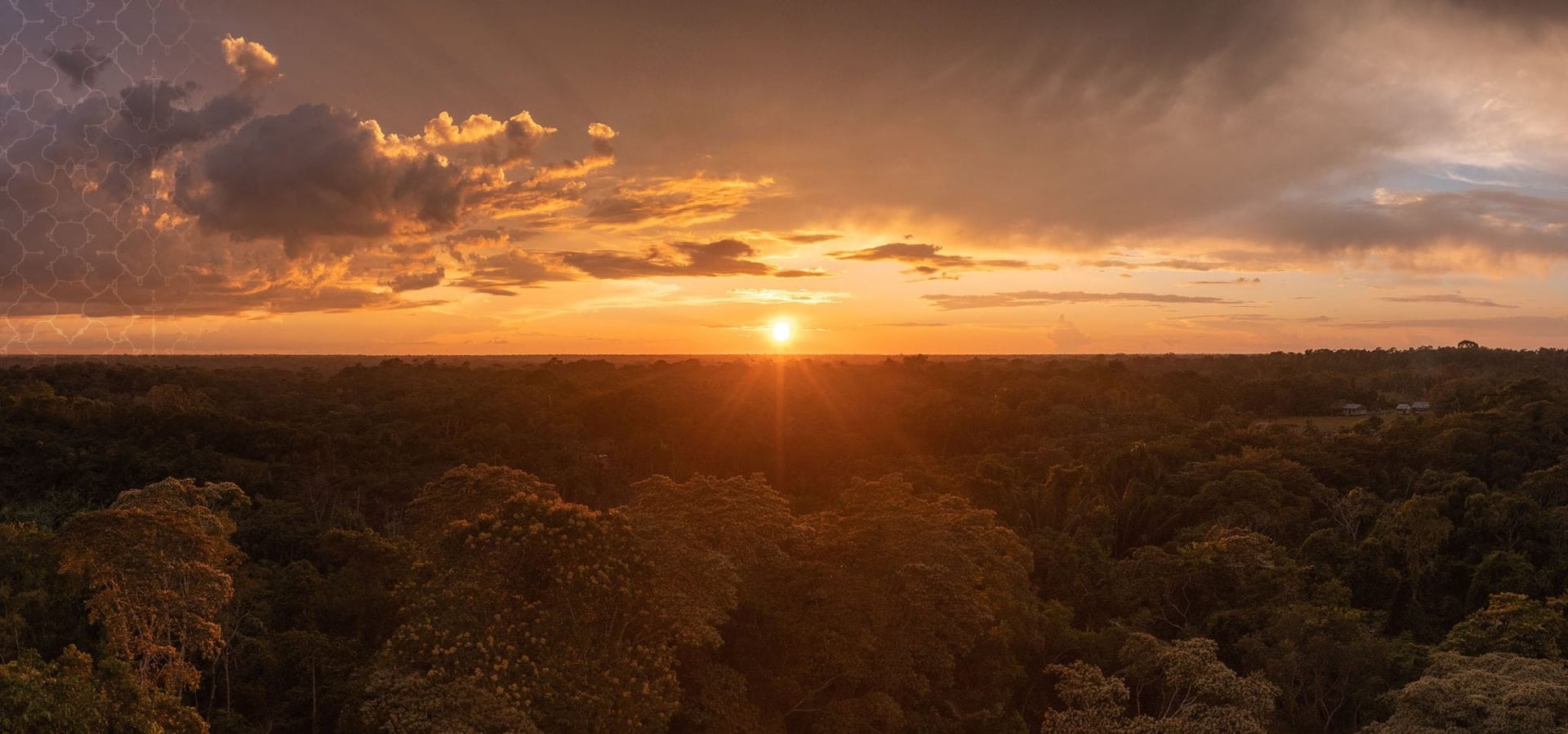 Att leva i linje med sig själv Ayahuasca helande retreat + 5-dagars fördjupande integrationsretreat