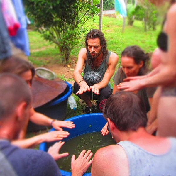 8-veckors ayahuascainitiationskurs