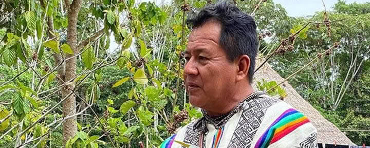 8-veckors ayahuascainitiationskurs