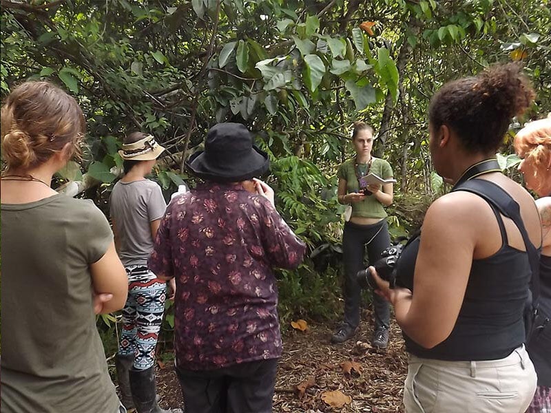 10-dagars ayahuascaretreat för kvinnor