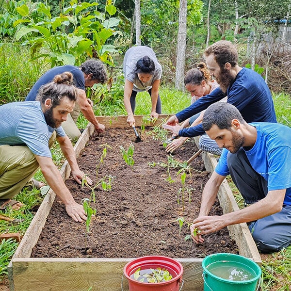 Åtta veckors Shipibo-ayahuasca-initieringskurs i Peru – 4 oktober–28 november 2026