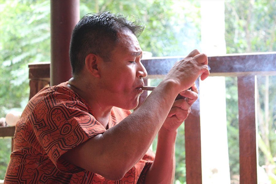 Shipibo ayahuascaretreat och växtdieta