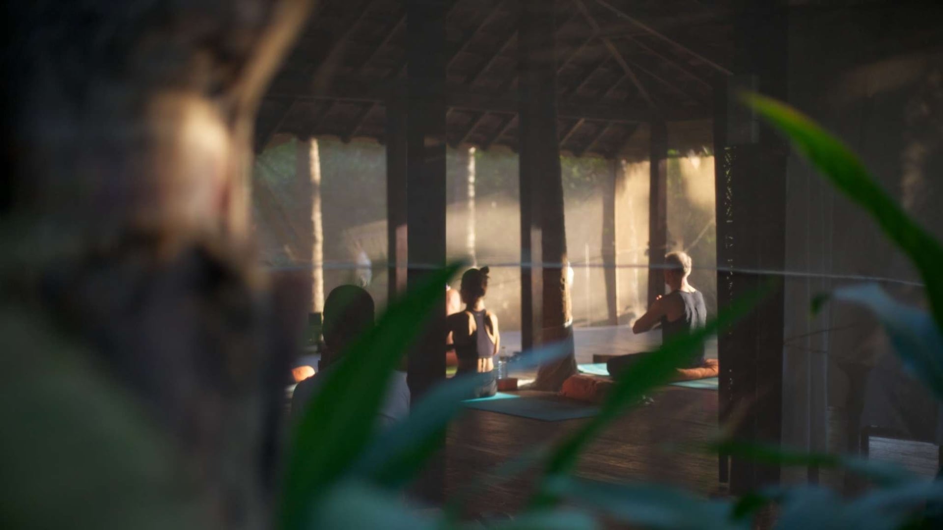 Yoga-retreat i eld och nektar i Goa, Indien