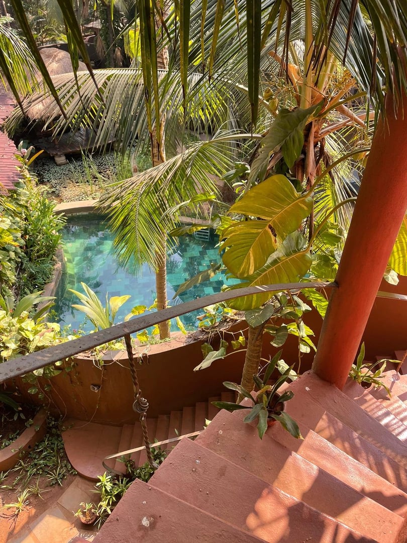 Yoga-retreat i eld och nektar i Goa, Indien