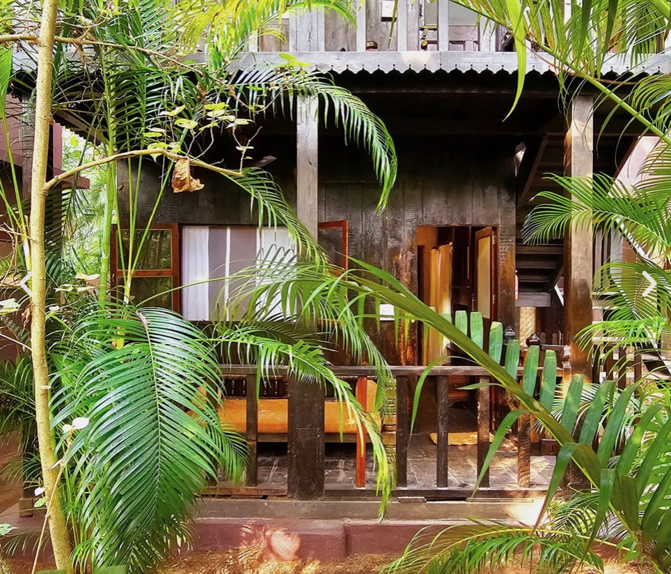 Yoga-retreat i eld och nektar i Goa, Indien
