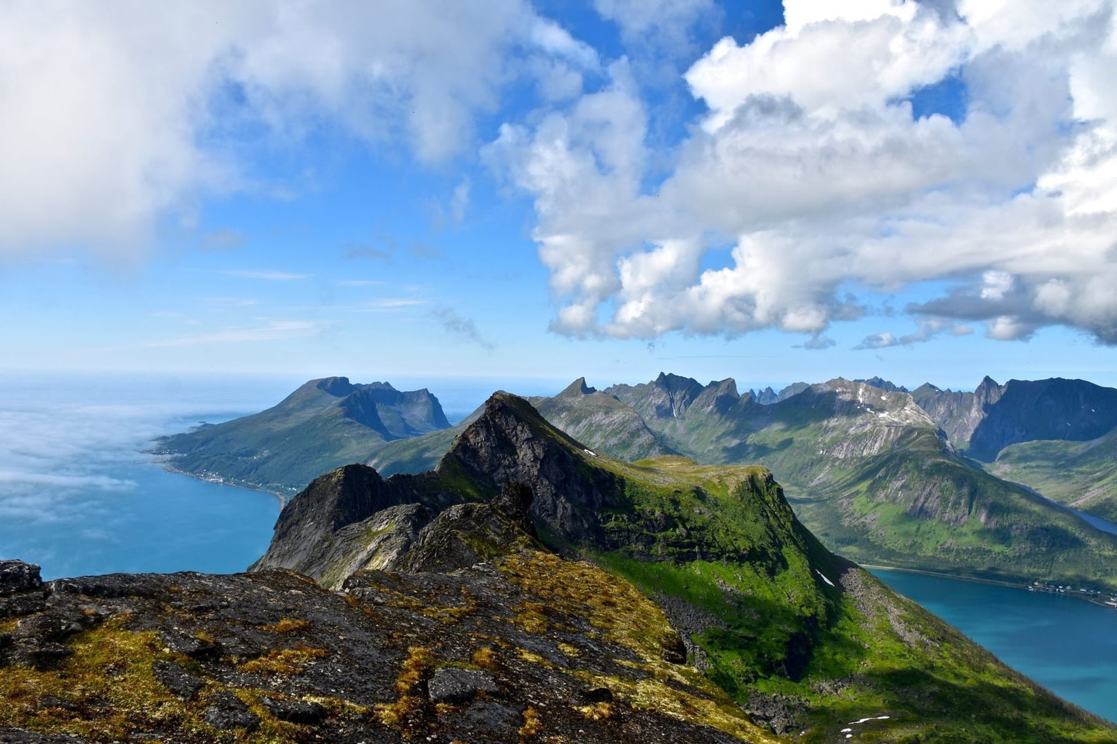 Yoga och simning i naturen