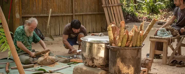 Ayahuasca-ceremoni