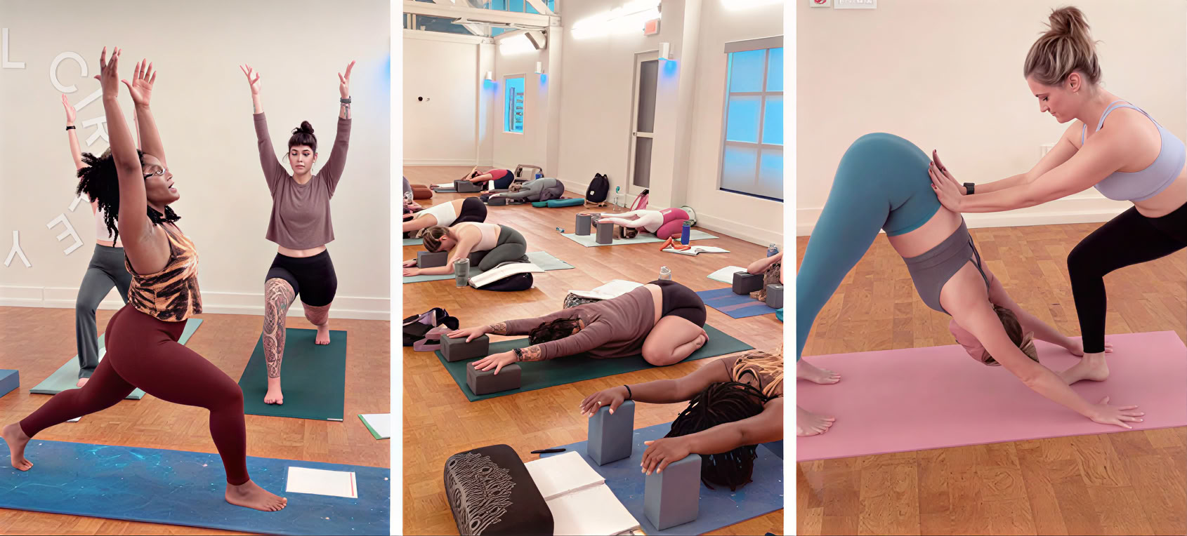 FCY 200-timmars Yoga Alliance-utbildning