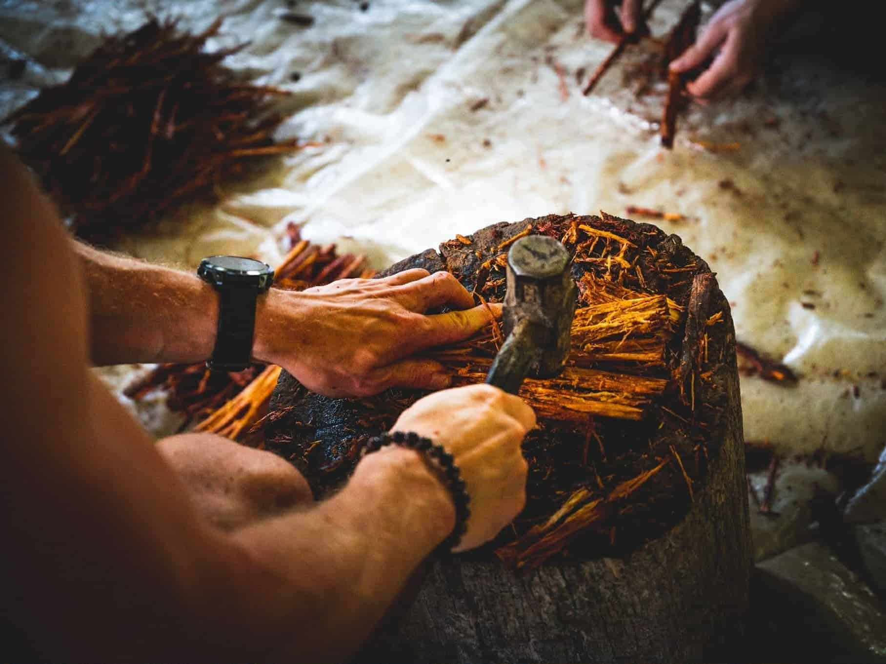 5-dagars ayahuascaretreat i Ecuador