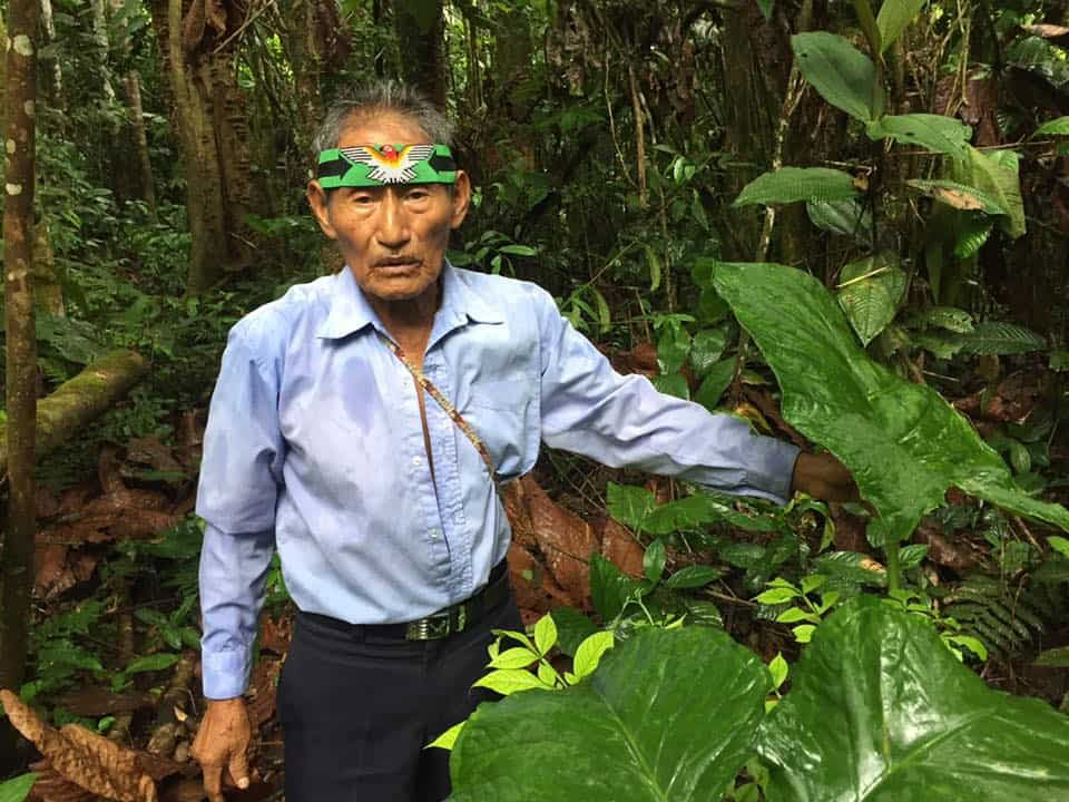 5-dagars ayahuascaretreat i Ecuador