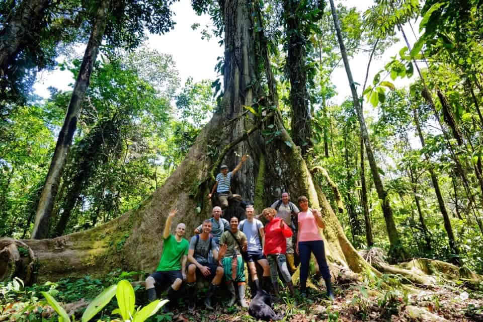 5-dagars ayahuascaretreat i Ecuador