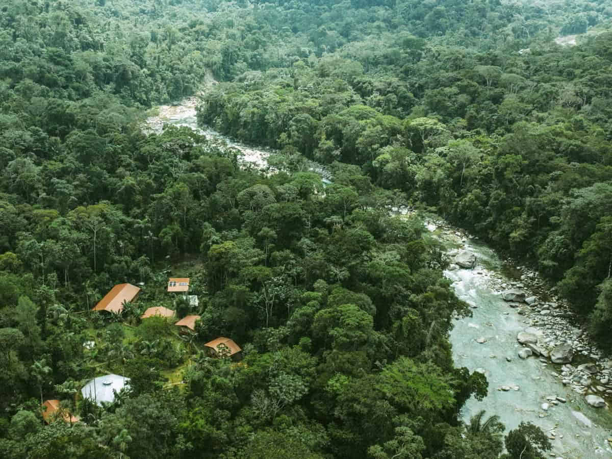 5-dagars ayahuascaretreat i Ecuador