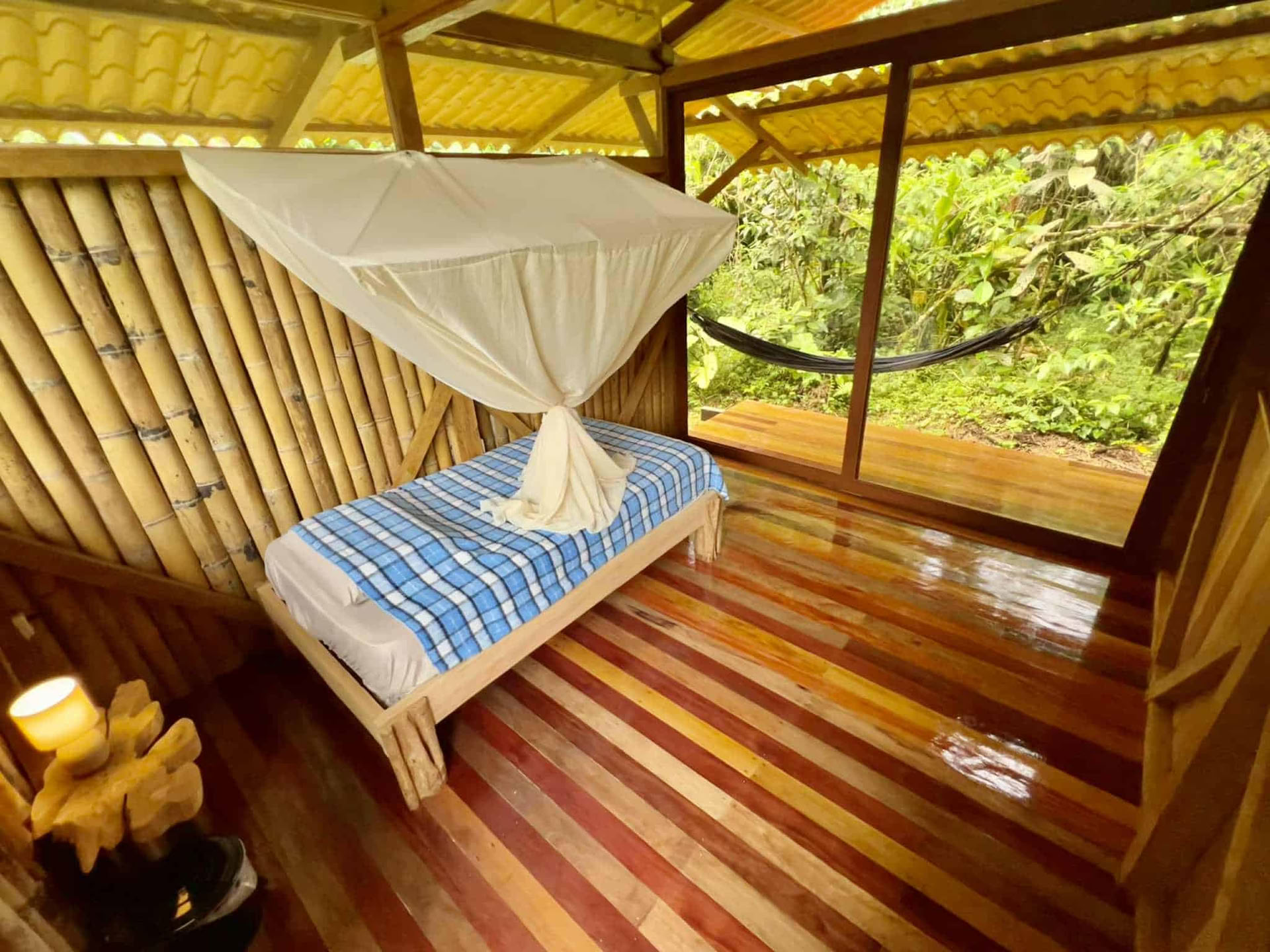 5-dagars ayahuascaretreat i Ecuador