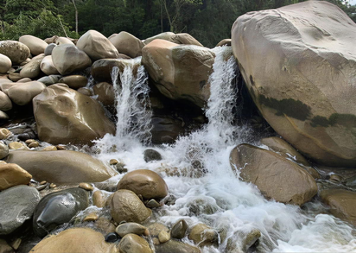 5-dagars ayahuascaretreat i Ecuador