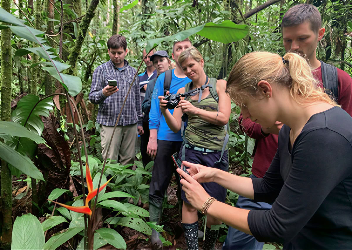 5-dagars ayahuascaretreat i Ecuador