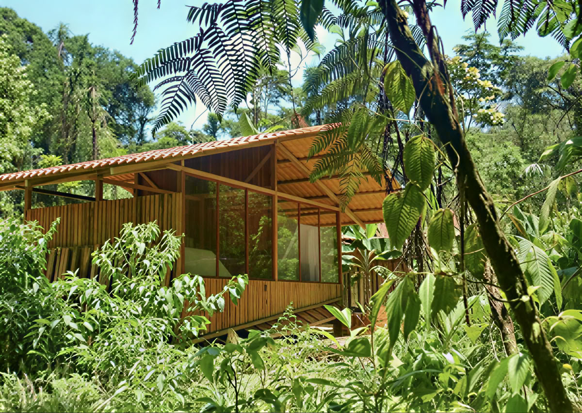 5-dagars ayahuascaretreat i Ecuador