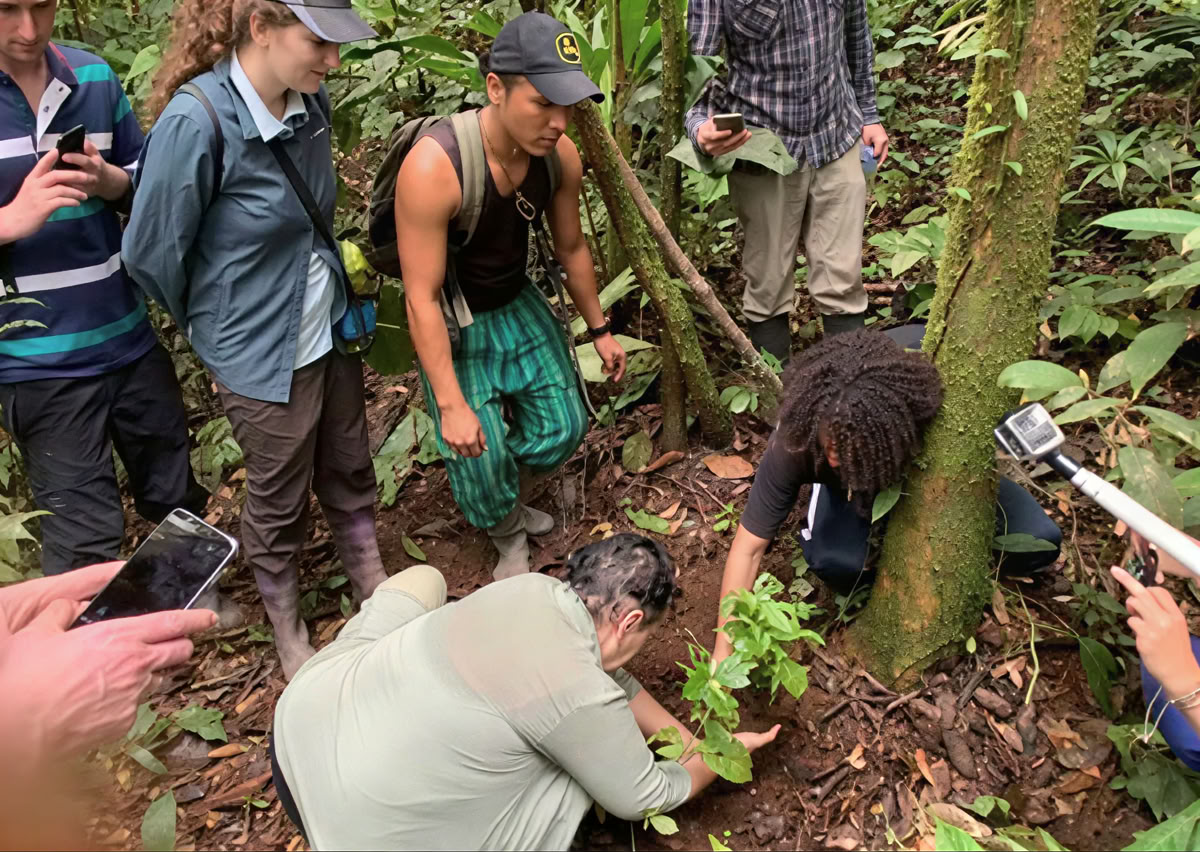 5-dagars ayahuascaretreat i Ecuador