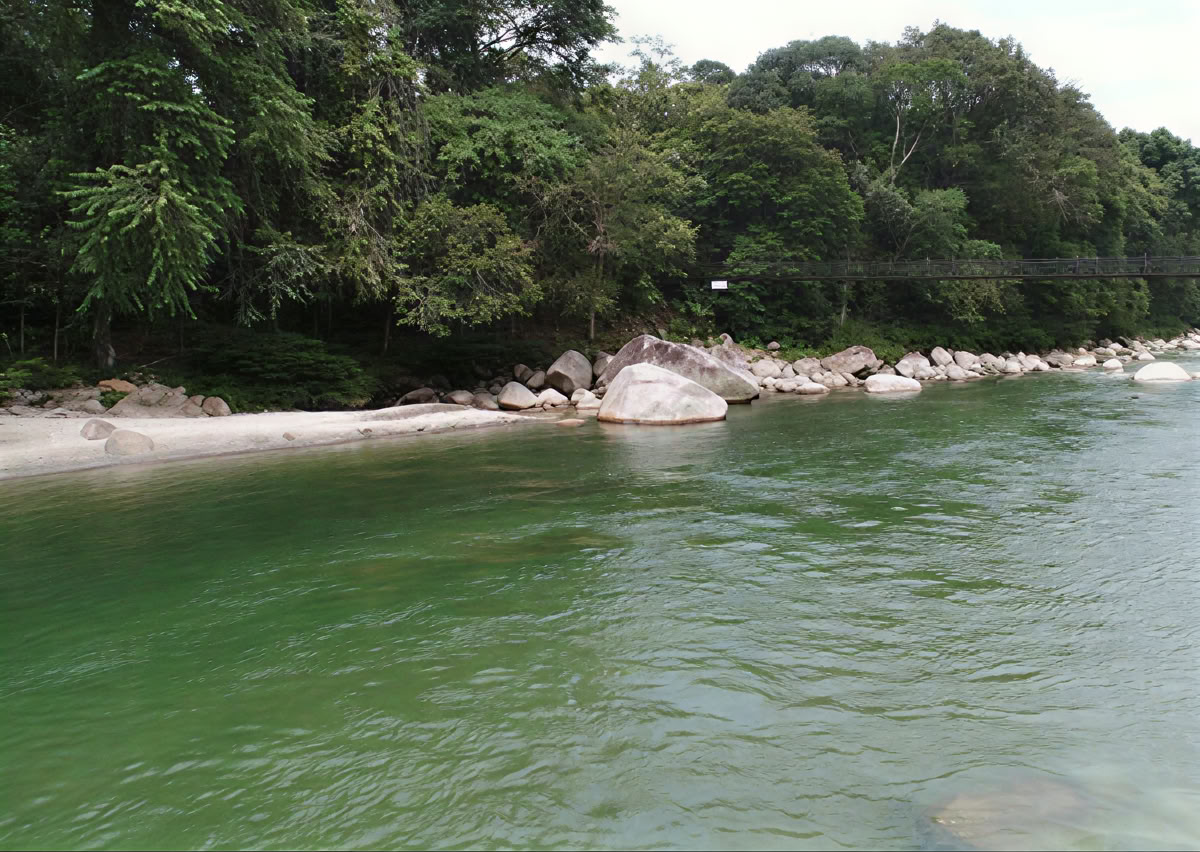 5-dagars ayahuascaretreat i Ecuador