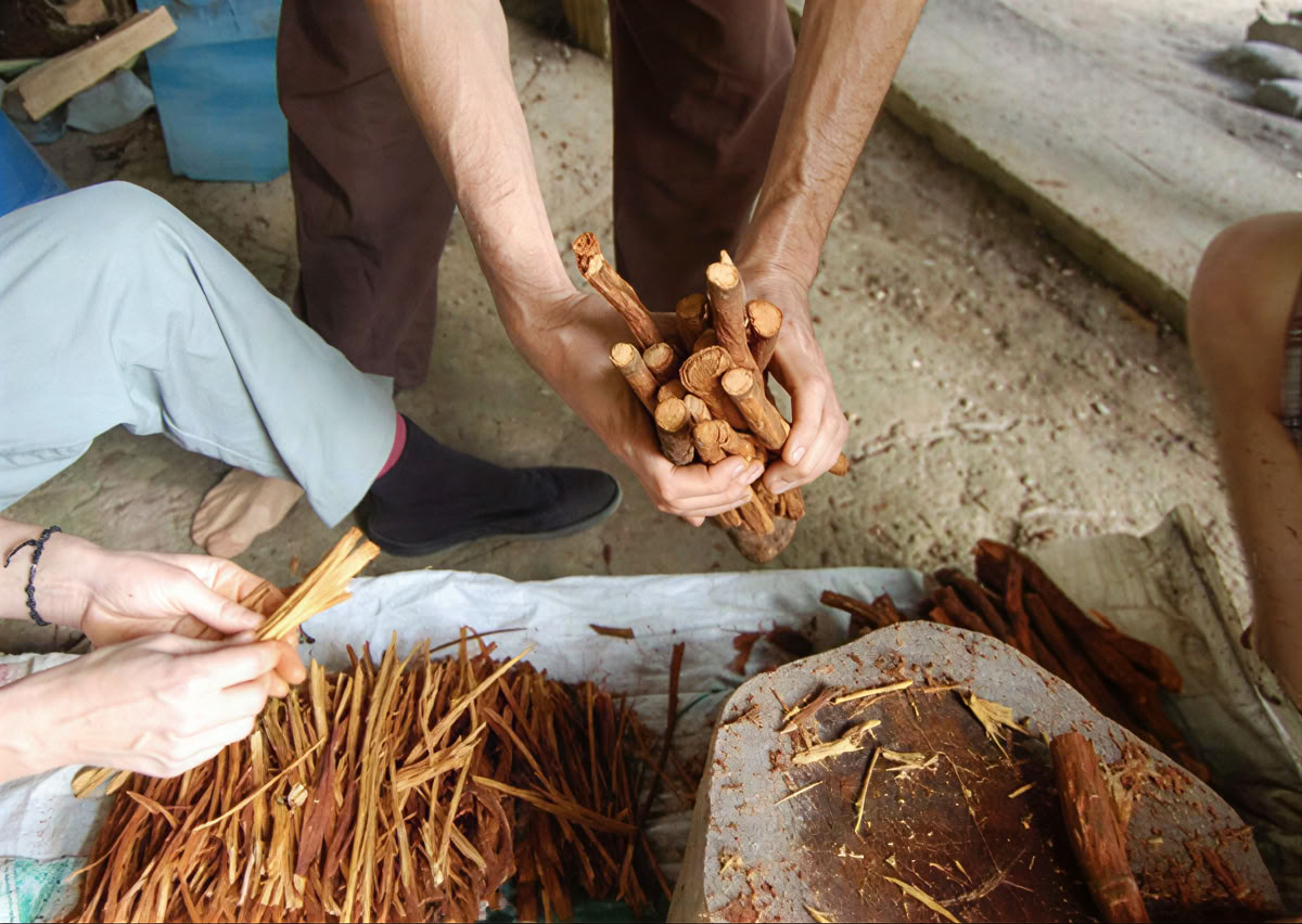 Ayahuasca-ceremoni i Ecuador