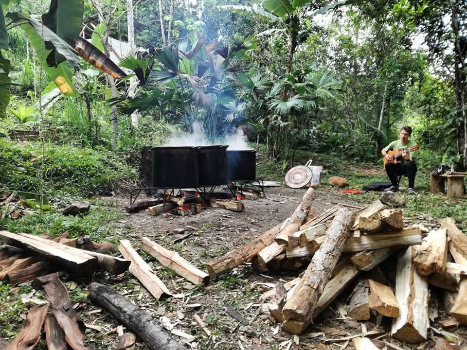 30 dagar – Ayahuasca & mästarväxtdieta