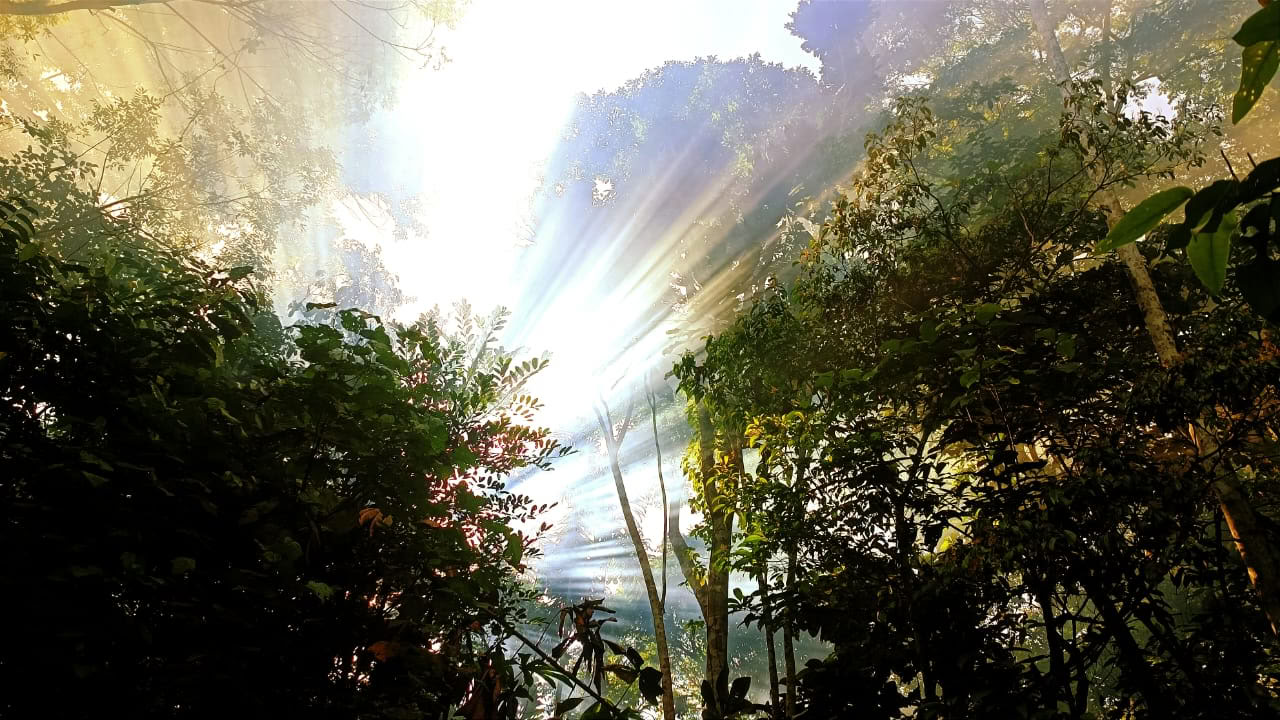 Ayahuasca och Machu Picchu 13-dagarsretreat