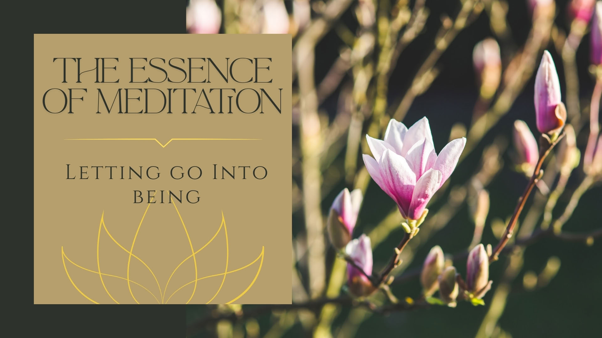 Shamatha-meditation – förmiddag
