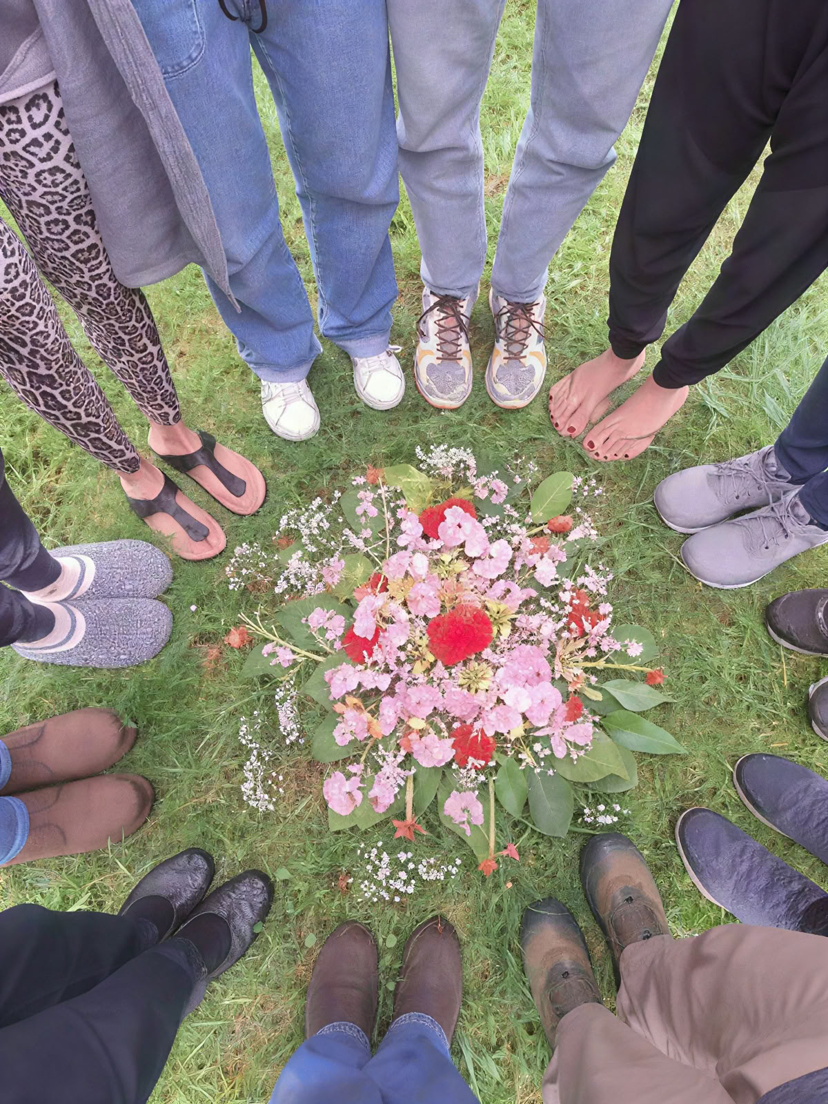 InwardBound privat psilocybinretreat: 4 dagar, 2 psilocybinsessioner – Nederländerna/Kosta Rica