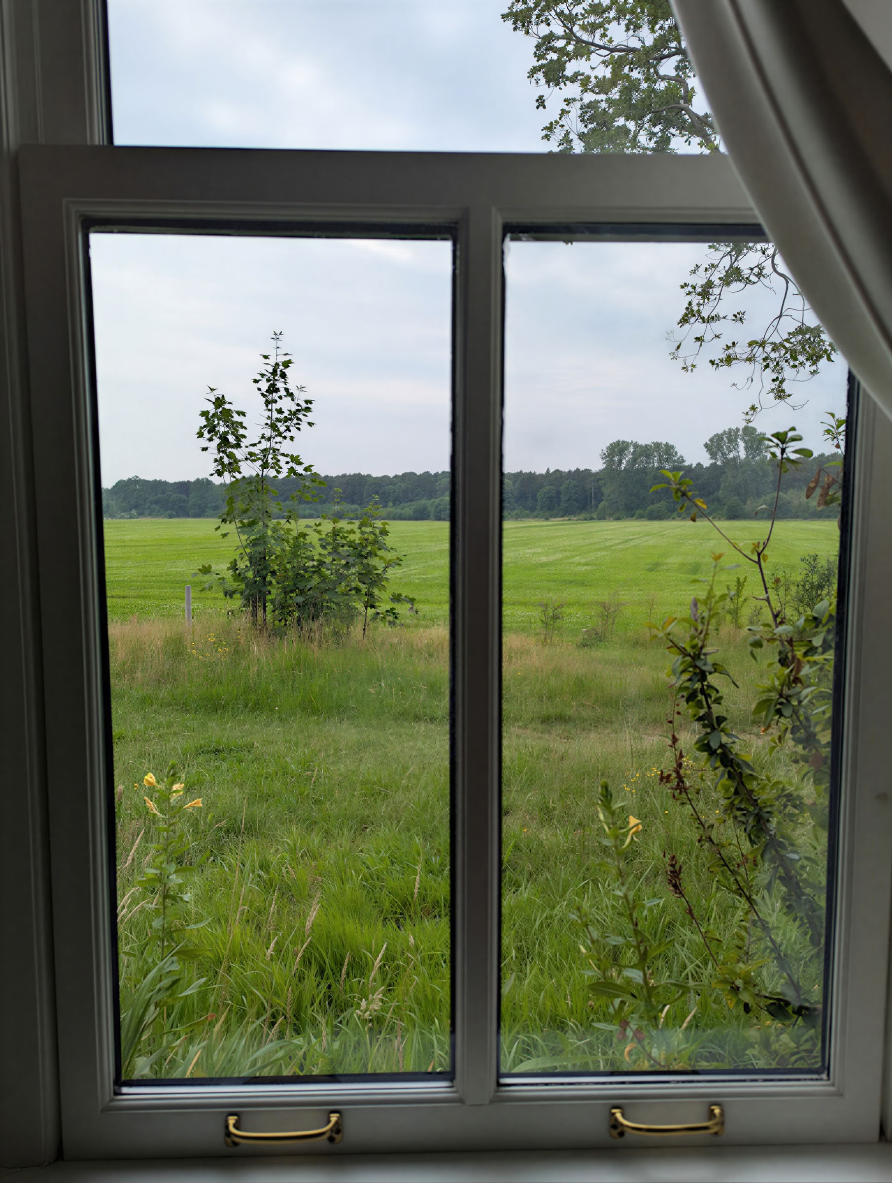 InwardBound privat psilocybinretreat: 4 dagar, 2 psilocybinsessioner – Nederländerna/Kosta Rica