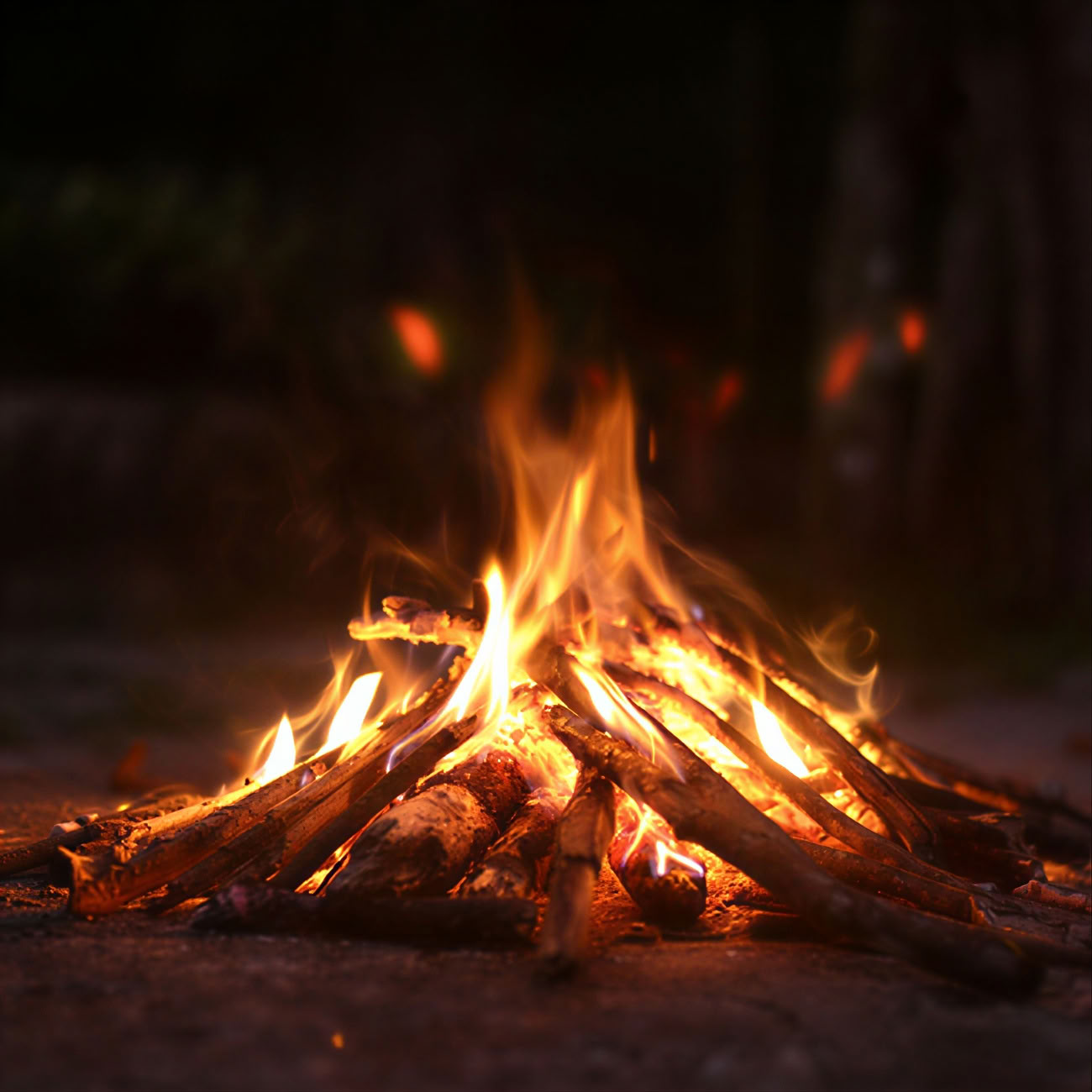 InwardBound privat psilocybinretreat: 4 dagar, 2 psilocybinsessioner – Nederländerna/Kosta Rica