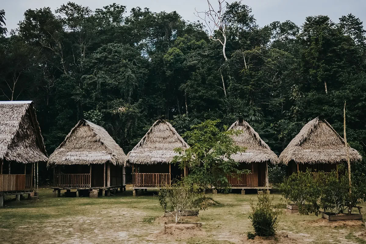 Transformationsayahuasca-retreat