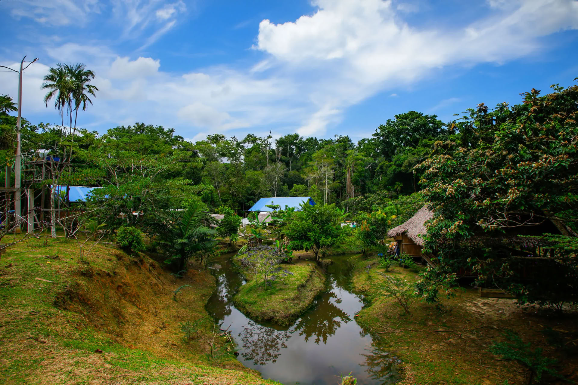 Transformationsayahuasca-retreat