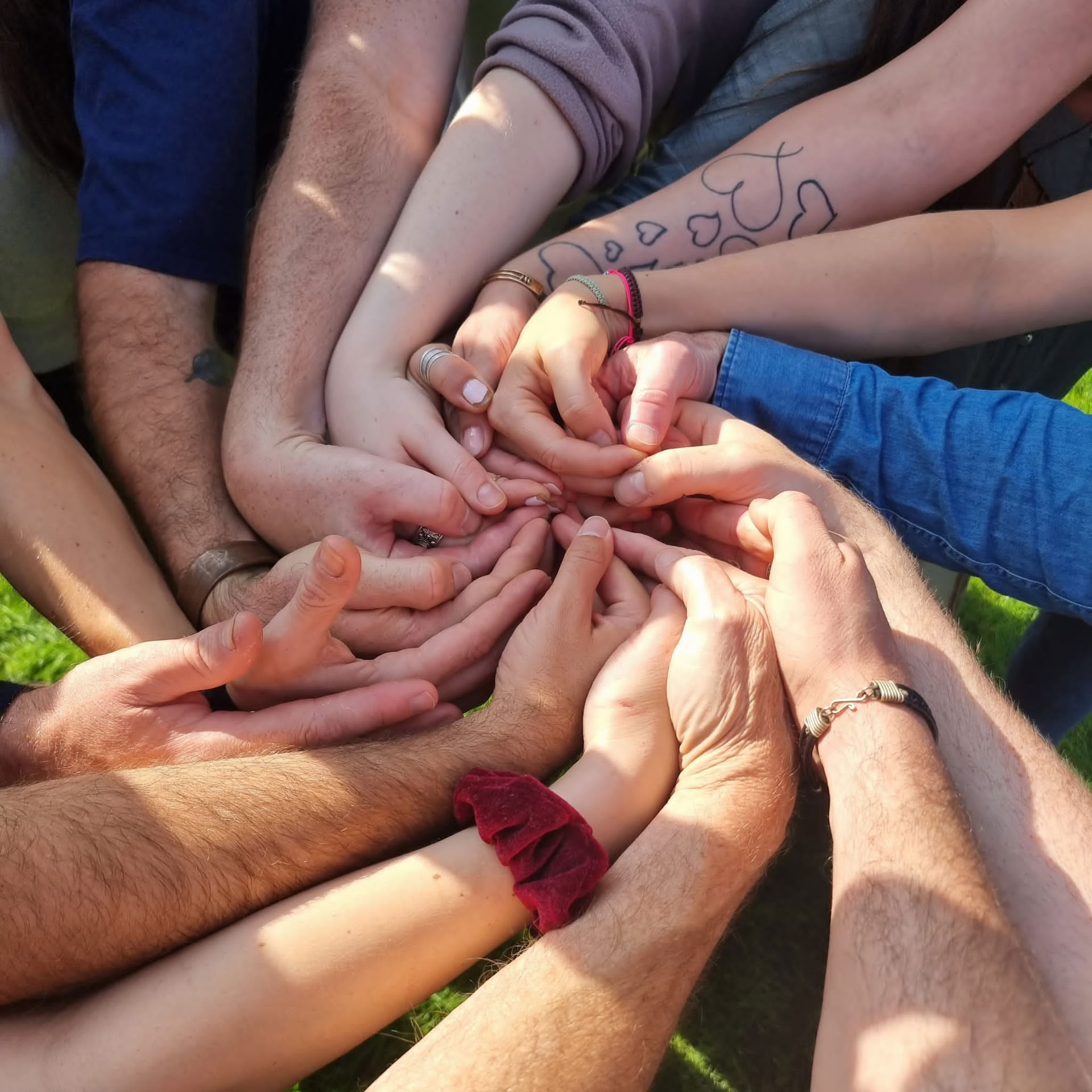 Inwardbound 3-dagars privat gruppretreat med psilocybin i Nederländerna för psykologer och psykoterapeuter