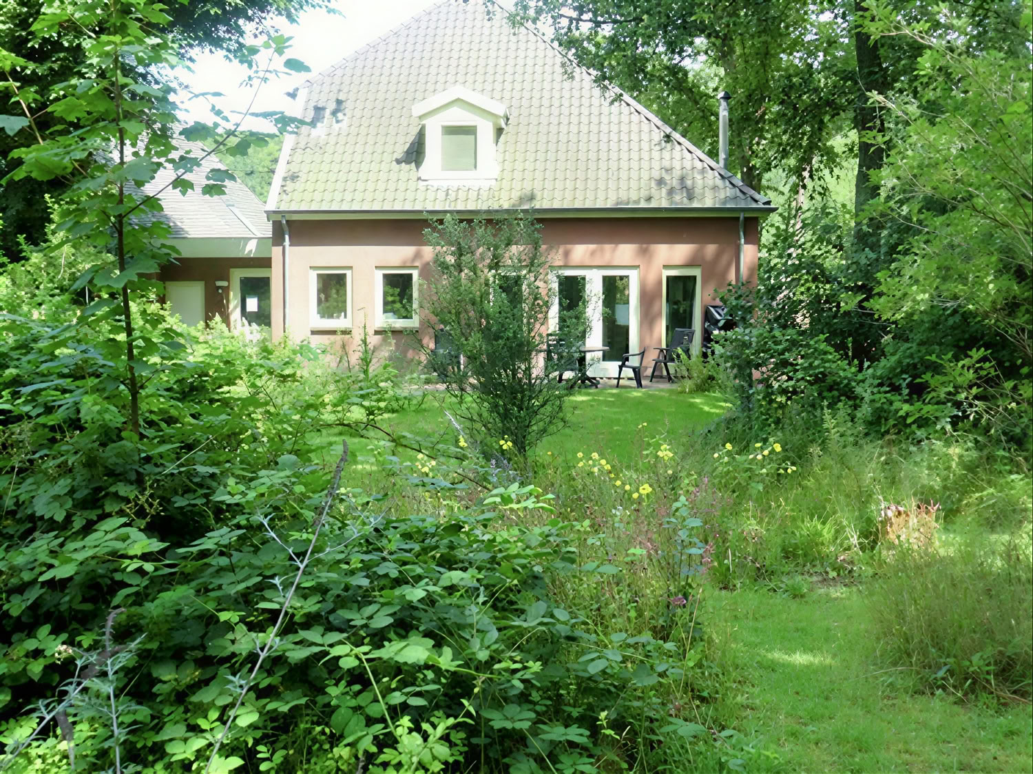 Privat psilocybin-retreat: 4 dagar, 2 psilocybin-sessioner