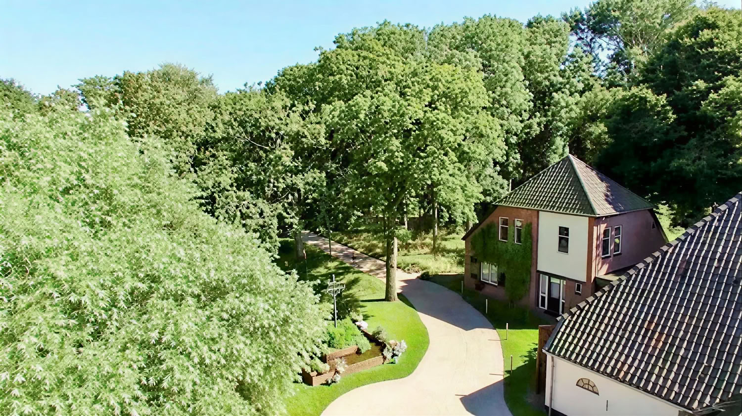 Privat psilocybin-retreat: 4 dagar, 2 psilocybin-sessioner