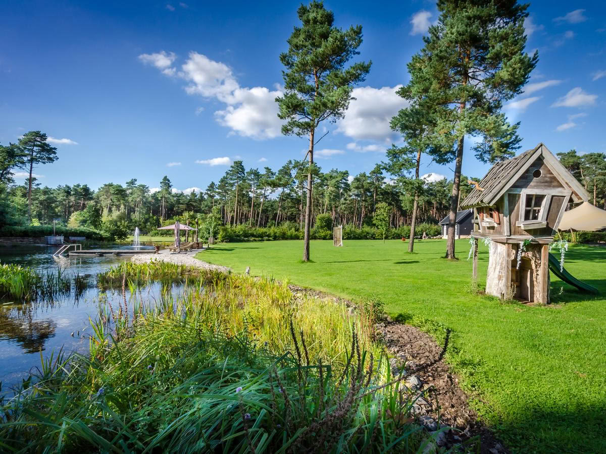 Privat psilocybin-retreat: 4 dagar, 2 psilocybin-sessioner