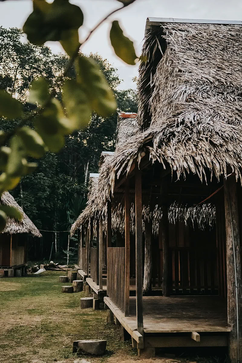 11-dagars ayahuasca-retreat i Peru – 31 augusti–10 september 2026 | Shipibo-healing och integration